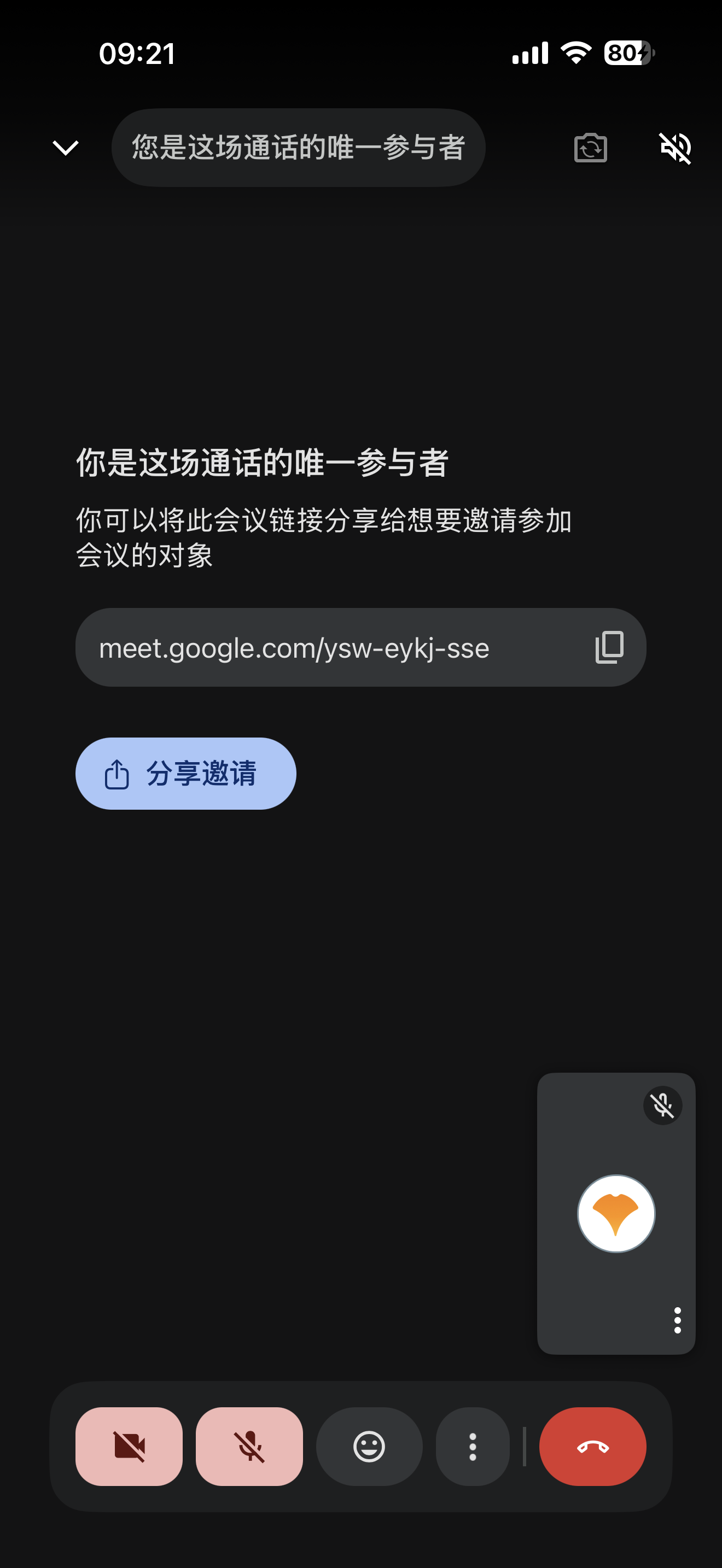 通话中·仅你一人待分享链接